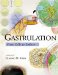 Grastrulation : From Cells to Embryo cover