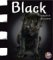 Black : Seeing Black All Around Us cover