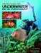 Master Guide For Underwater Digital Photography cover