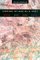 Coming of Age As a Poet : Milton, Keats, Eliot, Plath cover