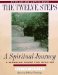 12 Steps : A Spiritual Journey cover