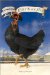 The Little Black Hen cover