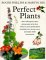  Perfect Plants