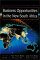 Business Opportunities in the New South Africa cover