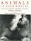 Animals in Four Worlds : Sculptures from India cover