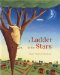 A Ladder to the Stars cover