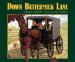 Down Buttermilk Lane cover