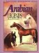 Arabian Legends : Outstanding Arabian Stallions and Mares cover