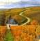 Cal 99 Hugh Johnson's Wine Calendar cover