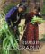  Human Geography: Landscapes of Human Activities