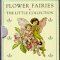  Flower Fairies
