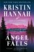 Angel Falls cover