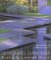 Designing Gardens cover