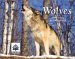 Wolves 2003 Calendar cover