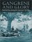 Gangrene and Glory : Medical Care During the American Civil War cover