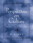 Perspectives on Culture : A Critical Introduction to Theory in Cultural Anthropology [Click for larger image]
