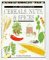 Cereals, Nuts, & Spices cover