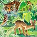 The Adventures Of Mouse Deer : Tales Of Indonesia And Malaysia cover