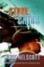 Stone Cribs cover