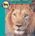 101 Facts About Lions cover
