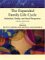 The Expanded Family Life Cycle : Individual, Family, And Social Perspectives cover
