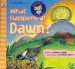 What Happens at Dawn? cover