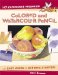 No Experience Required! : Colored And Watercolor Pencil cover