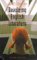 Devolving English Literature cover