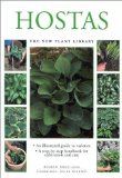 Hostas [Click for larger image]