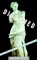 Disarmed : The Story of the Venus De Milo cover