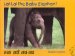 Lai-Lai the Baby Elephant : Nanha Hathi Laya-Laya / Sekhara Dattatri ; Anuvada, Sandhya Rava cover