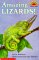 Amazing Lizards! cover