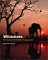 Wild Shots : The World of the Wildlife Photographer cover