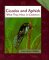 Cicadas and Aphids : What They Have in Common cover