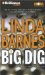 Big Dig cover