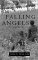 The Falling Angels cover