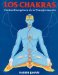 Los Chakras : Centros Energeticos De LA Transformacion cover