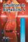 Simulations in Biomedicine V cover