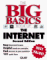 The Big Basics Book of the Internet