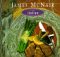 James McNair Cooks Italian cover