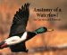 Anatomy of a Waterfowl, for Carvers and Painters cover