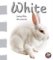 White : Seeing White All Around Us cover
