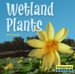 Wetland Plants cover