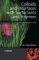 Colloids and Interfaces With Surfactants and Polymers : An Introduction cover