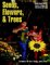 Seeds, Flowers, and Trees : Science in Art, Song, and Play cover