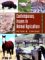  Contemporary Issues in Animal Agriculture