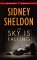 The Sky Is Falling cover