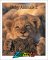 ANIMAL BABIES 2 cover