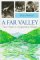 A Far Valley : Four Years in a Japanese Village cover