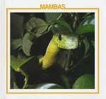 Mambas [Click for larger image]
